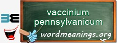 WordMeaning blackboard for vaccinium pennsylvanicum